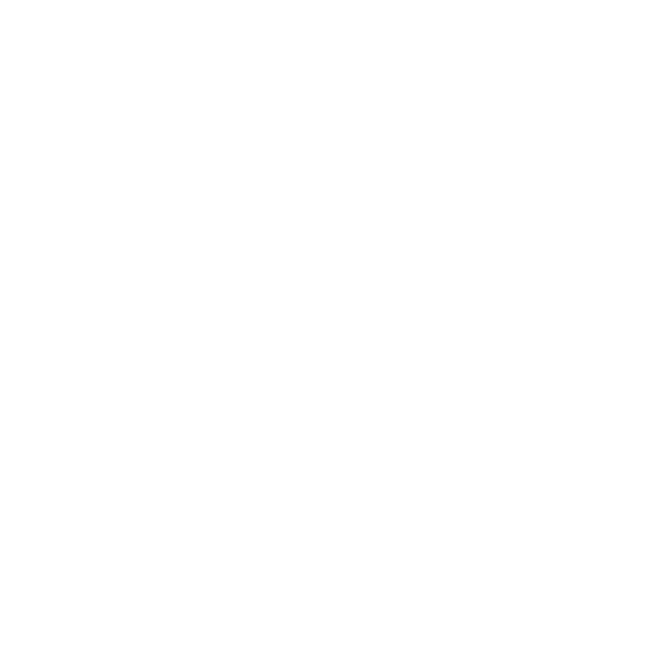 PAAIA Logo