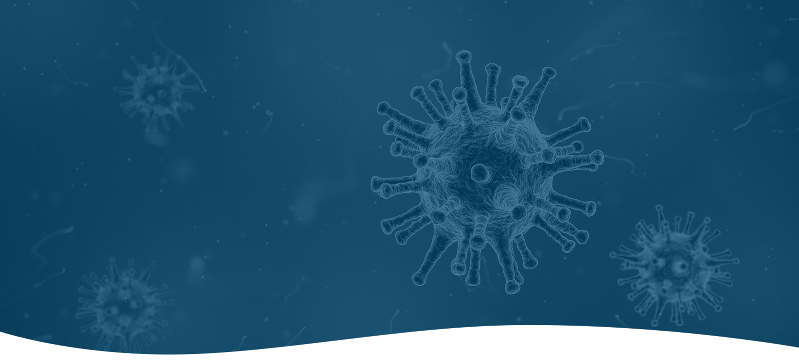 virus closeup